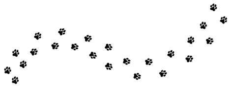 Paw Print Trail PNG Transparent Images Free Download | Vector Files | Pngtree