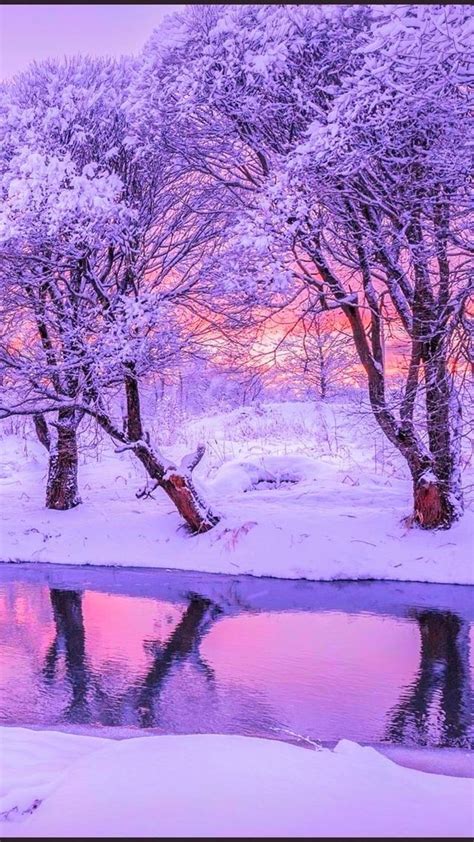 Pin by RamSil on Iarna 😊 zăpada ️☃️ | Winter wonderland background ...