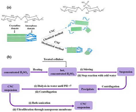 (a) Schematic representation of sulfuric hydrolysis of cellulose... | Download Scientific Diagram