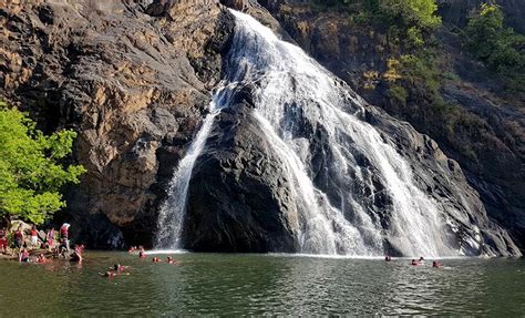 Goa Dudhsagar - Waterfalls: History, Timings, Location, Entry Fee