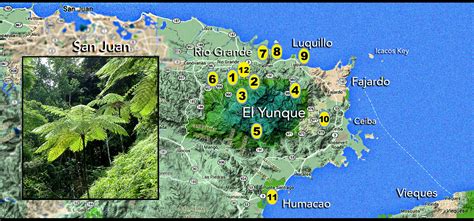 El Yunque Rainforest Map | My XXX Hot Girl