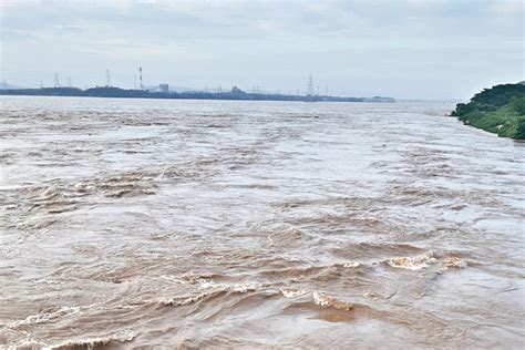 Mahanadi | Odisha fears ‘medium’ flood, alerts districts in Mahanadi delta area - Telegraph India