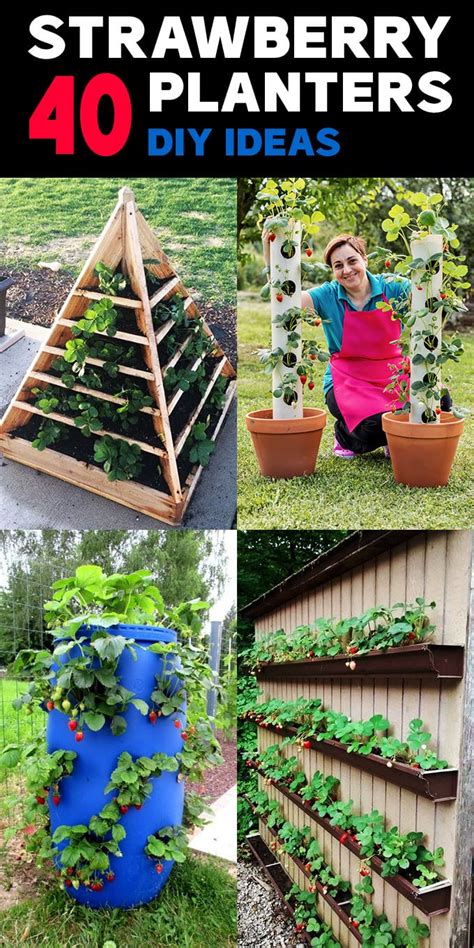 40 DIY Strawberry Planter Ideas for Container Planting