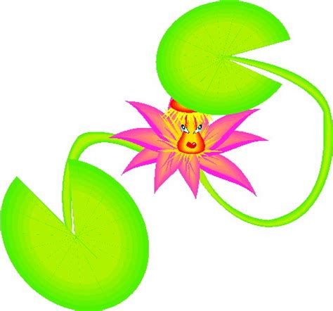 Water Lily PNG Clip Art Image - Best WEB Clipart - Clip Art Library