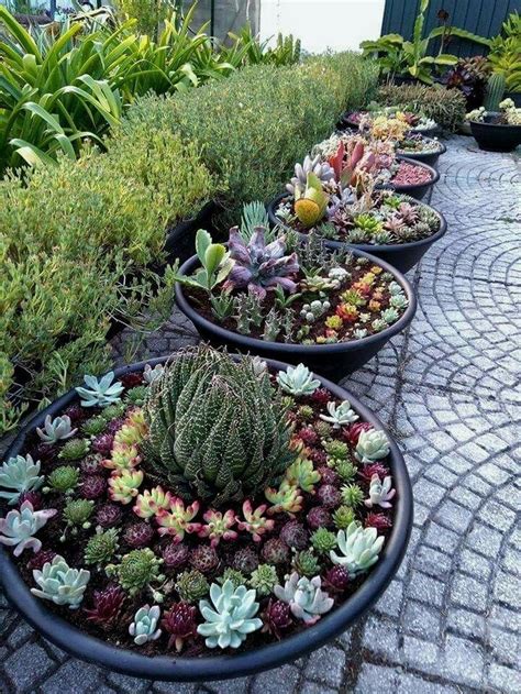 36 Awesome Succulent Front Yard Landscaping Ideas Succulent Garden | Free Nude Porn Photos