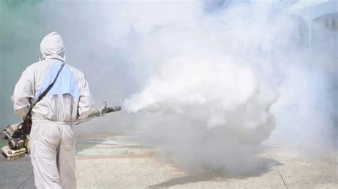 What is a Fumigation Treatment? - PureLine