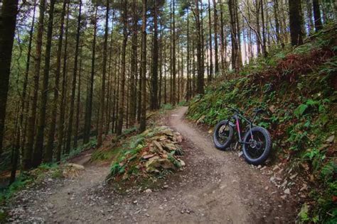 Where To Find The Best Cycling Routes In Cornwall | Stay In Cornwall