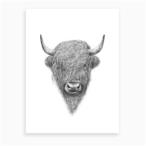 Highland Bull Canvas Print by Valeriya Korenkova - Fy