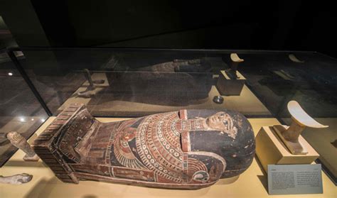 Tomb with 500 mummified animals discovered in Egypt | Arab News