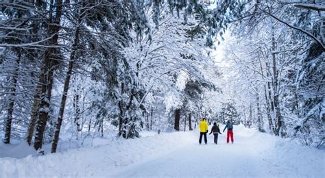 Winter Adventures In Muskoka