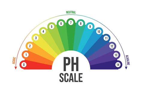 Everything You NEED To Know About pH Neutral Car Soap