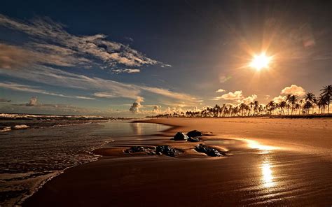 HD wallpaper: Brazil Mirror Beach near Trancoso-2017 Bing Deskto.., water, sea | Wallpaper Flare