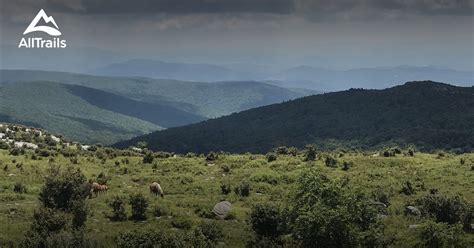 10 Best hikes and trails in Grayson Highlands State Park | AllTrails