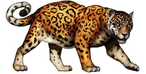 Jaguar clipart 20 free Cliparts | Download images on Clipground 2024