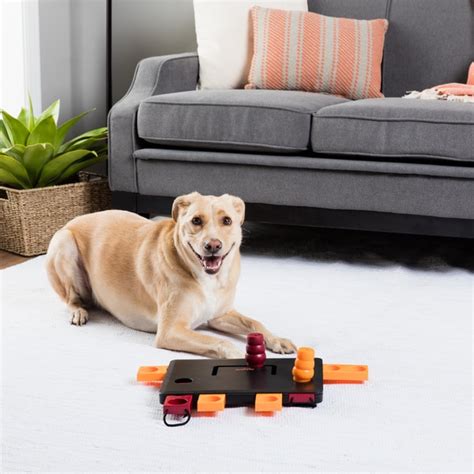 Trixie Move-2-Win Interactive Dog Toy Puzzle (Level 3) - Free Shipping ...