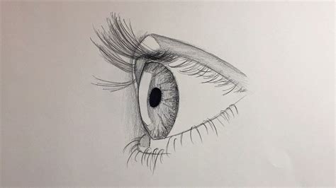 Image result for eye side view drawing | Eye drawing, Drawings, Face drawing