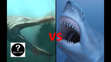 Megalodon vs Predator-X, con nào sẽ thắng #17 || Bạn Có Biết? - YouTube