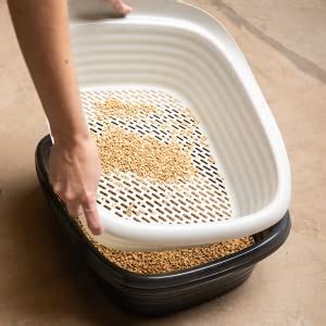 Litter Boxes for Pine Pellets: 5 Picks | Happy Cat Corner