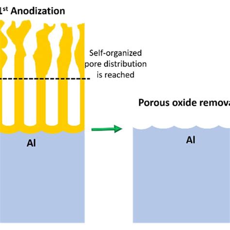 Steps involved in the two-step anodization process. | Download ...