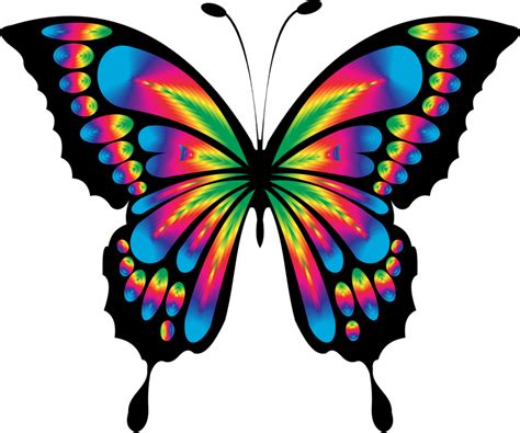 Butterfly,Symmetry,Artwork PNG Clipart - Royalty Free SVG / PNG