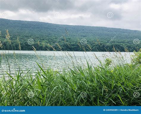 Landscapes and Nature Images in PA Stock Image - Image of comfy, pennsylvania: 245950289