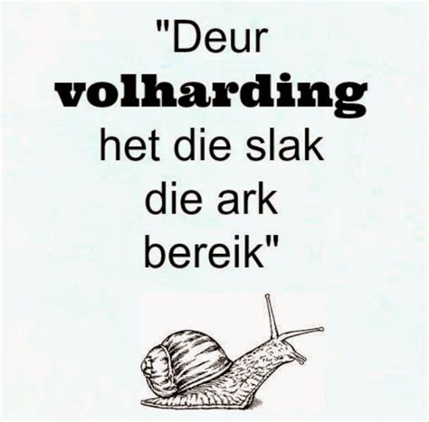 Afrikaanse Inspirerende Gedagtes & Wyshede: Deur volharding het die ...