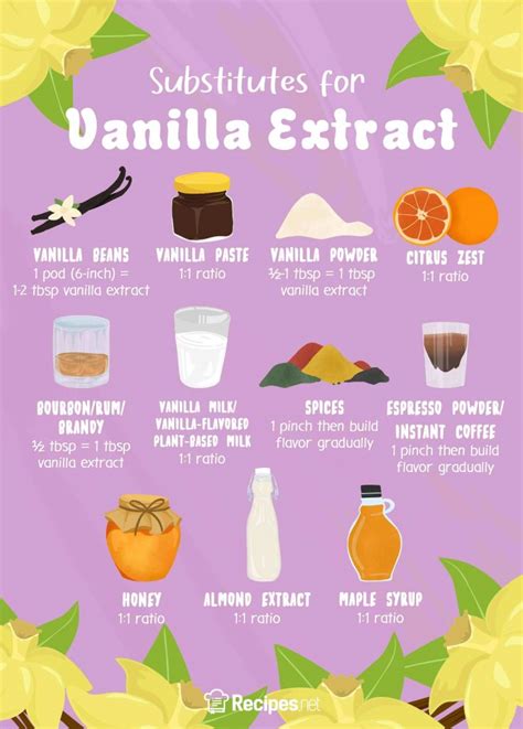 11 Substitutes for Vanilla Extract You Can Use - Recipes.net