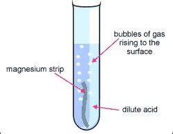 C11. Preparing common salts - Mr. Tremblay's Class Site