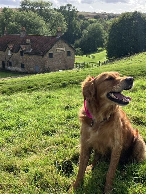 walkingthewolds.co.uk - Wharram Percy, Walk