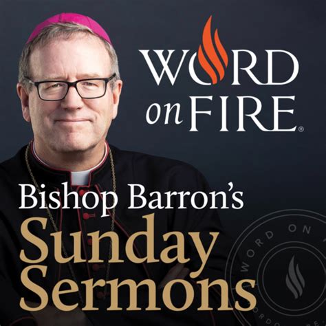 Bishop Robert Barron’s Sermons - Catholic Preaching and Homilies ...