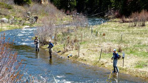 Yampa River closes to fishing below the dam at Stagecoach | Steamboat Radio