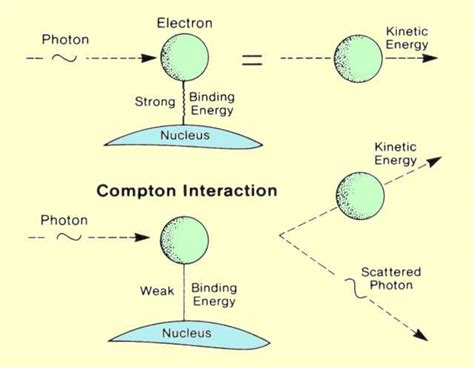 Gamma Radiation: Interaction Of Gamma Radiation With Matter