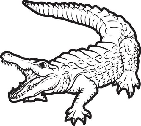 Coloriage Crocodile