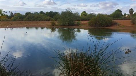 Gilbert Riparian Preserve at Water Ranch - YouTube