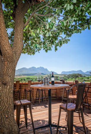 The Red Leaf Bistro at Beyerskloof, Stellenbosch - Restaurant Reviews, Phone Number & Photos ...