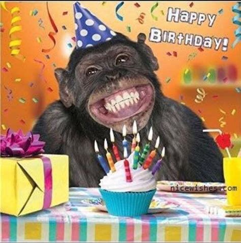 Pin by Yoon Soh on monkey | Happy birthday pictures, Happy birthday ...