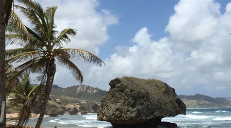 Bathsheba Beach Tours - Book Now | Expedia