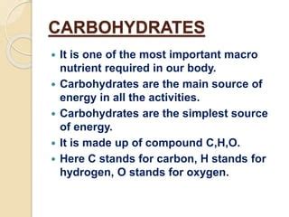 Carbohydrates Function