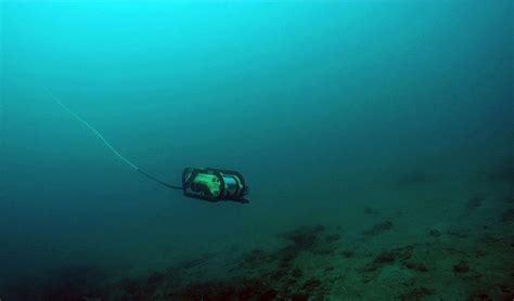 The corals of the deep: Pinoy scientists explore ‘twilight zone’ reefs ...