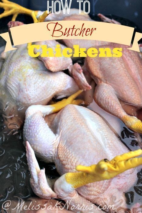 How to butcher a chicken at home. Great tips for processing and ...