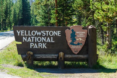 Yellowstone East Entrance 2024 - Linda Paulita