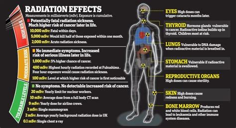 Effects Of Radioactivity - Live Chemistry Help | Radiation dose ...