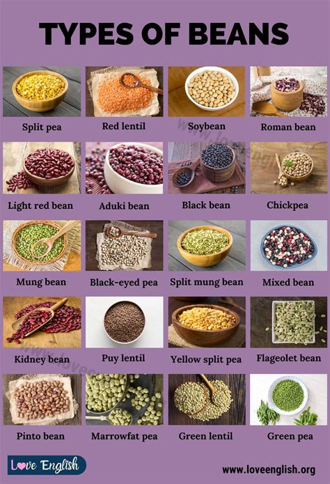 Types of beans 21 different types of beans that you should try – Artofit