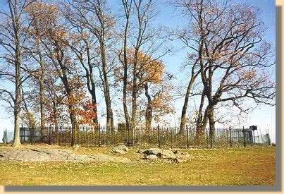 U. S. Civil War Photographs - Gettysburg - Copse of Trees