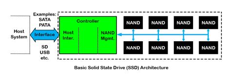 Solid State Drives 101: Everything You Ever Wanted to Know