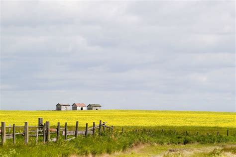 Does Montana Belong to the Great Plains? - Pocket Montana