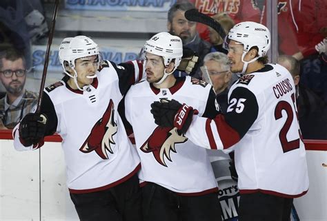 Arizona Coyotes: Why They Will Make the Playoffs Again