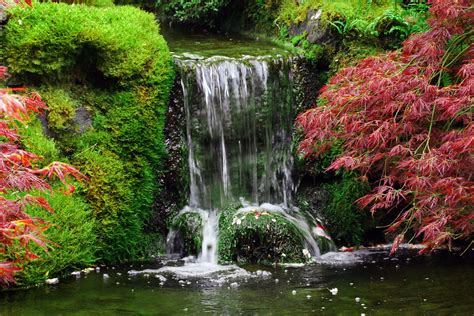 Waterfall in Japanese Garden | The Garden had a beautiful se… | Flickr