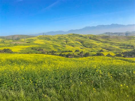 Chino Hills State Park Loop | Outdoor Project