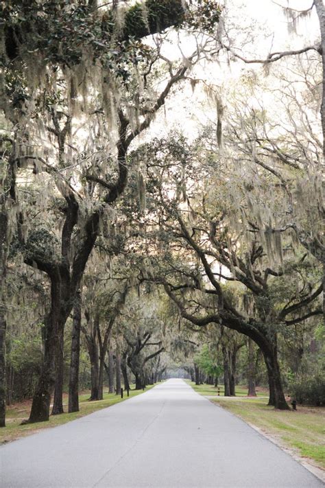 Bluffton, SC: A Trip to a classic Southern Coastal Town - QC Exclusive